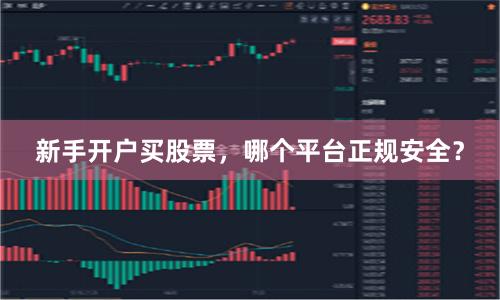 新手开户买股票，哪个平台正规安全？