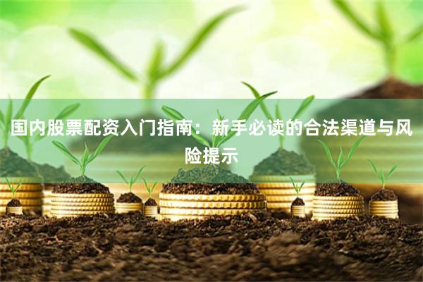 国内股票配资入门指南：新手必读的合法渠道与风险提示