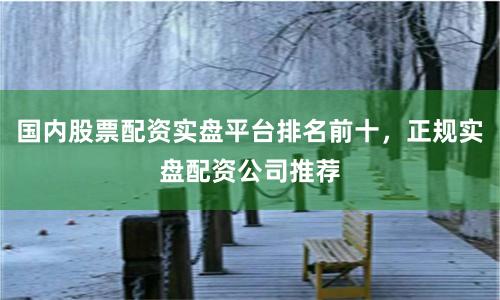 国内股票配资实盘平台排名前十，正规实盘配资公司推荐